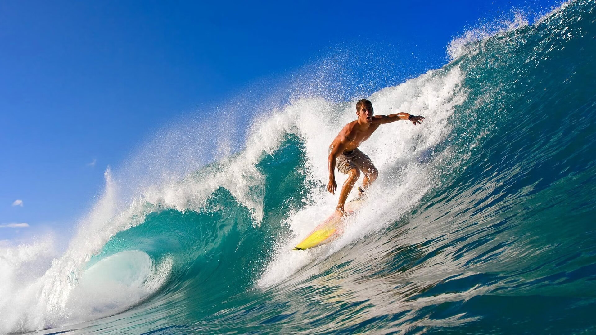 “德甲激烈竞争,最后冲刺谁能占上风?”,德甲收官战